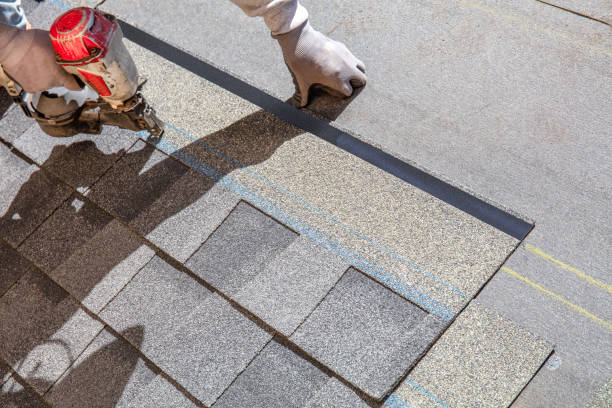 Best Residential Roofing Contractor  in Escanaba, MI