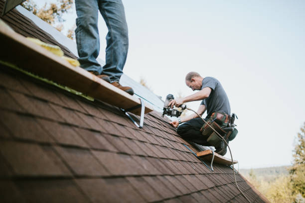 Roof Gutter Cleaning in Escanaba, MI