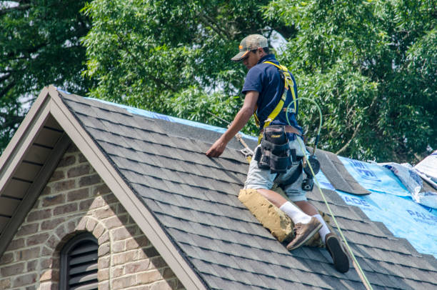 Best Roof Leak Repair  in Escanaba, MI